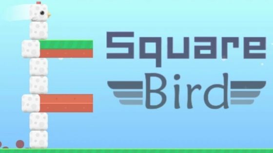 Square Bird